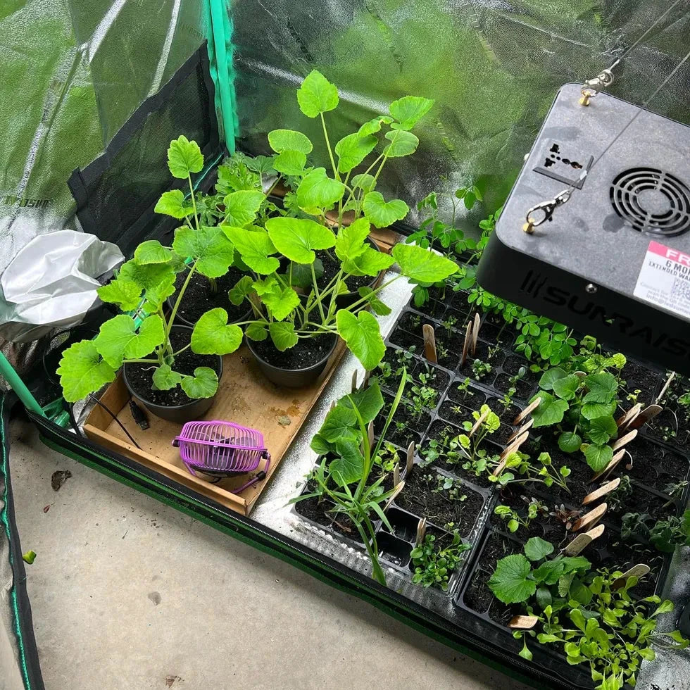The Green Notebook | Botanical Library Membership Lifetime